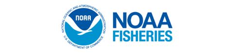 Noaa fisheries - August 17, 2023. Today, the Department of Commerce and NOAA announced more than $106 million in recommended funding for 16 West Coast and …